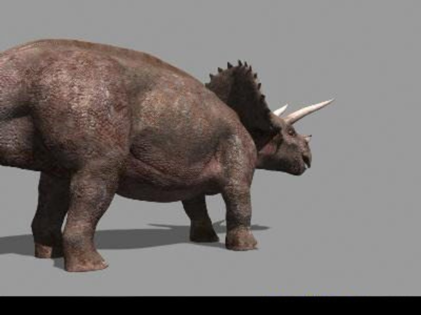 pack animations character 3d model https://p.turbosquid.com/ts-thumb/aV/Lq0FZ2/Jrx96XAb/tria07/jpg/1283796953/1920x1080/fit_q87/f1e102462e7ba8761198e9fa6a90907a50e20d57/tria07.jpg