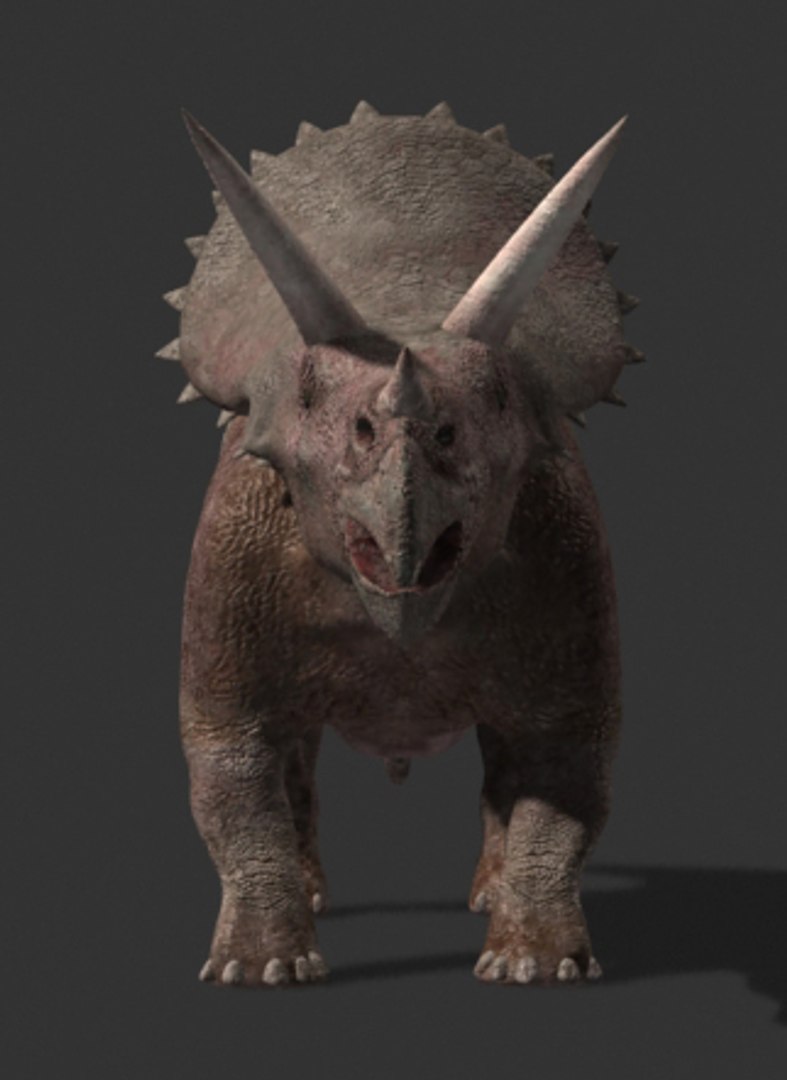 pack animations character 3d model https://p.turbosquid.com/ts-thumb/aV/Lq0FZ2/QUFWQnUk/tria14/jpg/1283796953/1920x1080/fit_q87/7115080ebfee32d77247338ac5911a67680f1f25/tria14.jpg