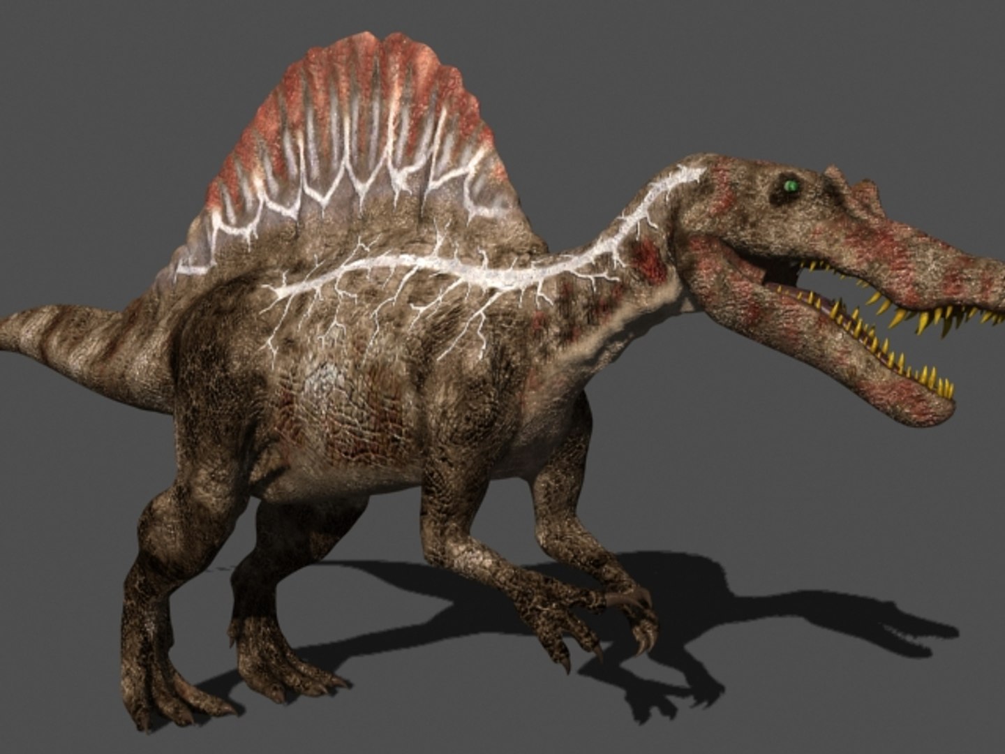 pack animations character 3d model https://p.turbosquid.com/ts-thumb/aV/Lq0FZ2/WIH8wOez/spino14/jpg/1283779027/1920x1080/fit_q87/e000d0bc3fba4d471feb2115fa6f850e6dc9df6a/spino14.jpg