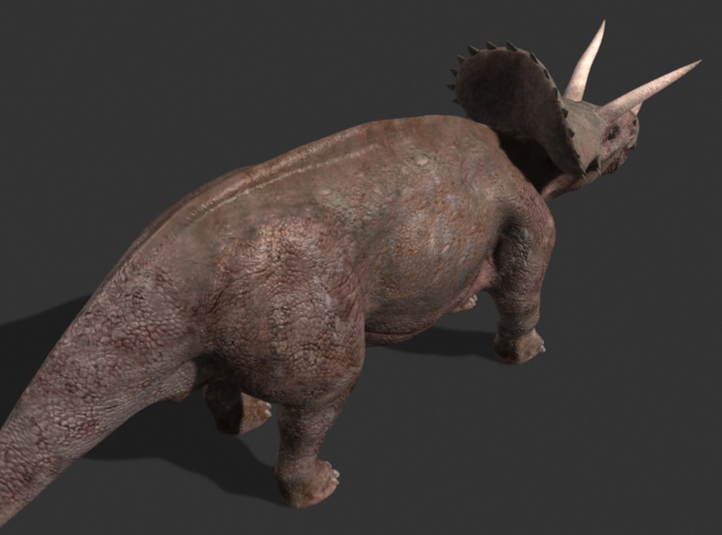 pack animations character 3d model https://p.turbosquid.com/ts-thumb/aV/Lq0FZ2/YmUrpRs8/tria13/jpg/1283796953/1920x1080/fit_q87/55368bd36ec3aaf47bf0dbf81b98d07cea2662ae/tria13.jpg
