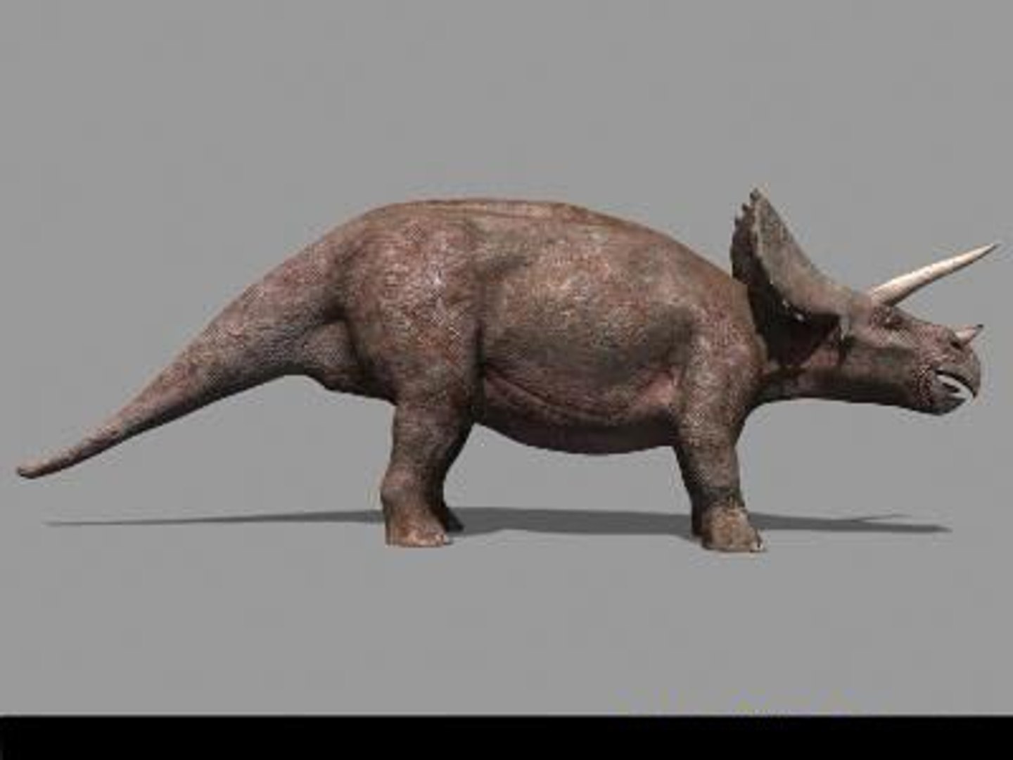 pack animations character 3d model https://p.turbosquid.com/ts-thumb/aV/Lq0FZ2/bIuPVIJc/tria04/jpg/1283796953/1920x1080/fit_q87/3c87acd1248d52162f3480394ef1ea019ae1d48a/tria04.jpg