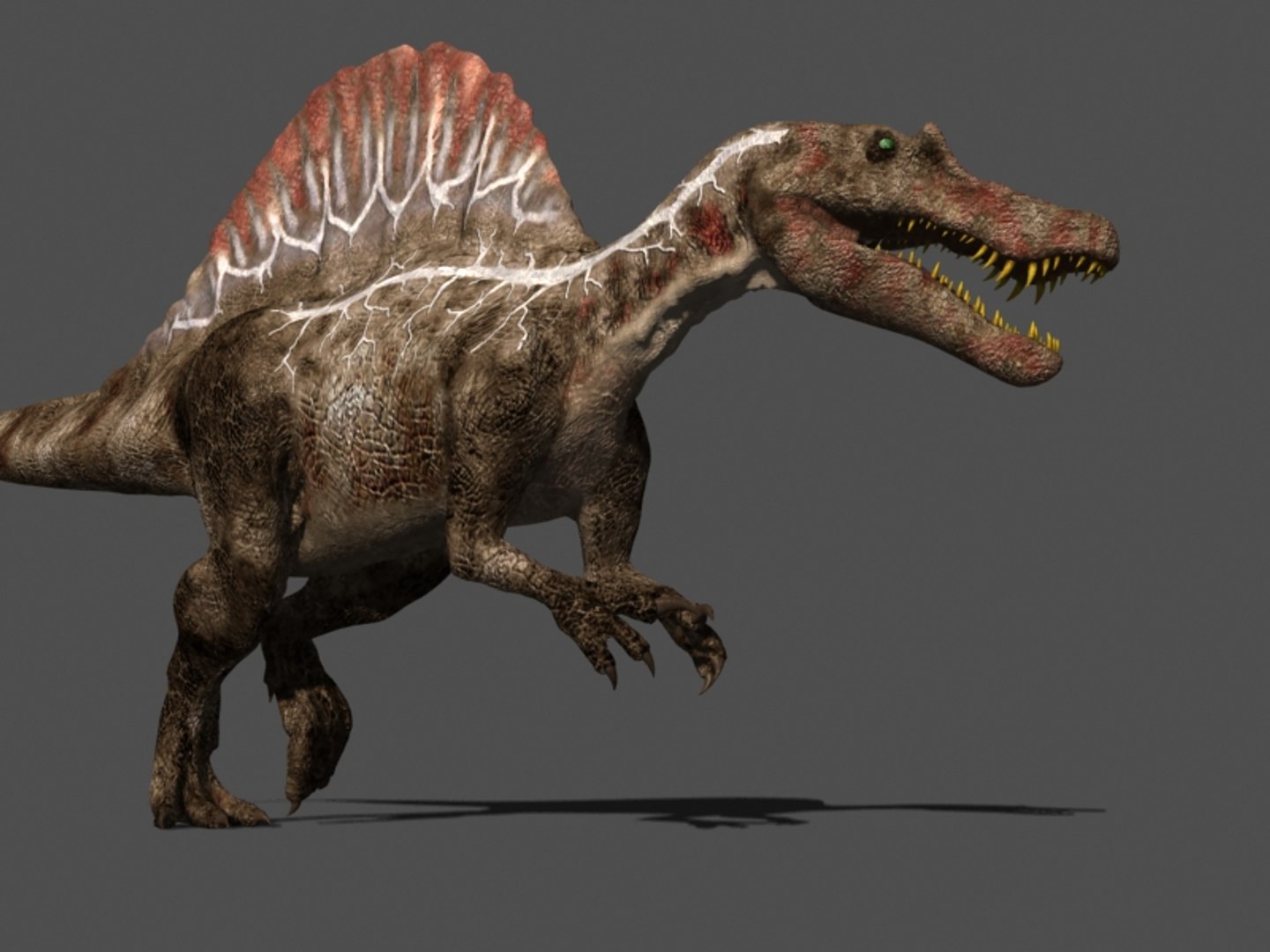 pack animations character 3d model https://p.turbosquid.com/ts-thumb/aV/Lq0FZ2/dk1Gcxgv/spino29/jpg/1283779027/1920x1080/fit_q87/e202be48c398fa219c2aa334f3364097a58401d7/spino29.jpg