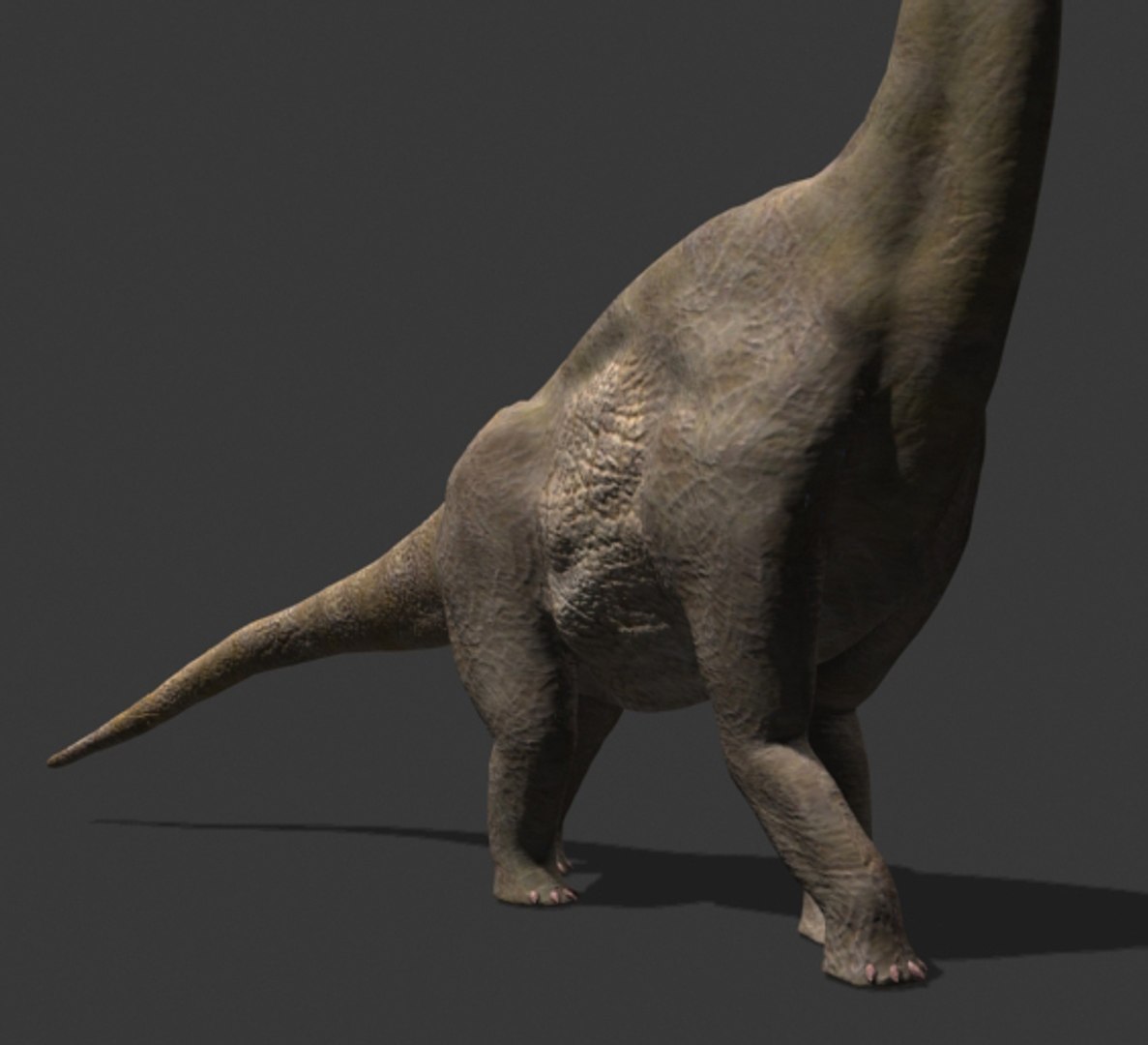 pack animations character 3d model https://p.turbosquid.com/ts-thumb/aV/Lq0FZ2/dwERxHTZ/braqia28/jpg/1283777687/1920x1080/fit_q87/64ec594ee3b3351fe7aad908b83e643b07bec10a/braqia28.jpg