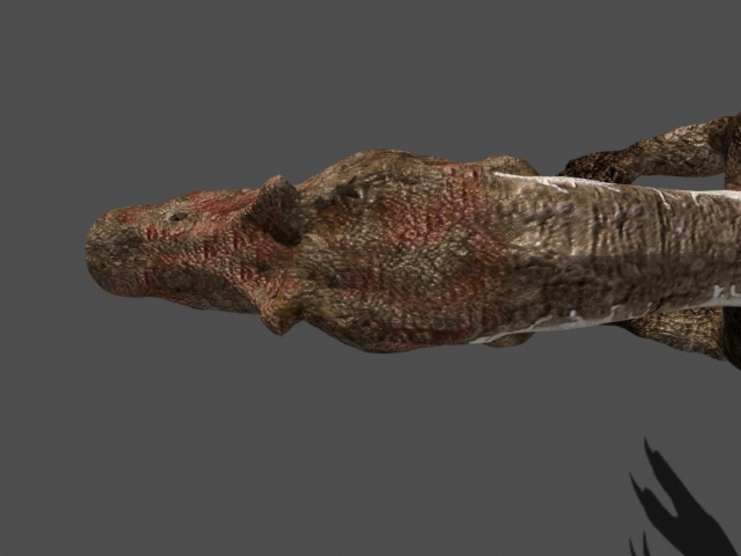 pack animations character 3d model https://p.turbosquid.com/ts-thumb/aV/Lq0FZ2/e7ahP0eK/spino6/jpg/1283779027/1920x1080/fit_q87/28072eb65c437f071a2fa3248fc84caec41db972/spino6.jpg