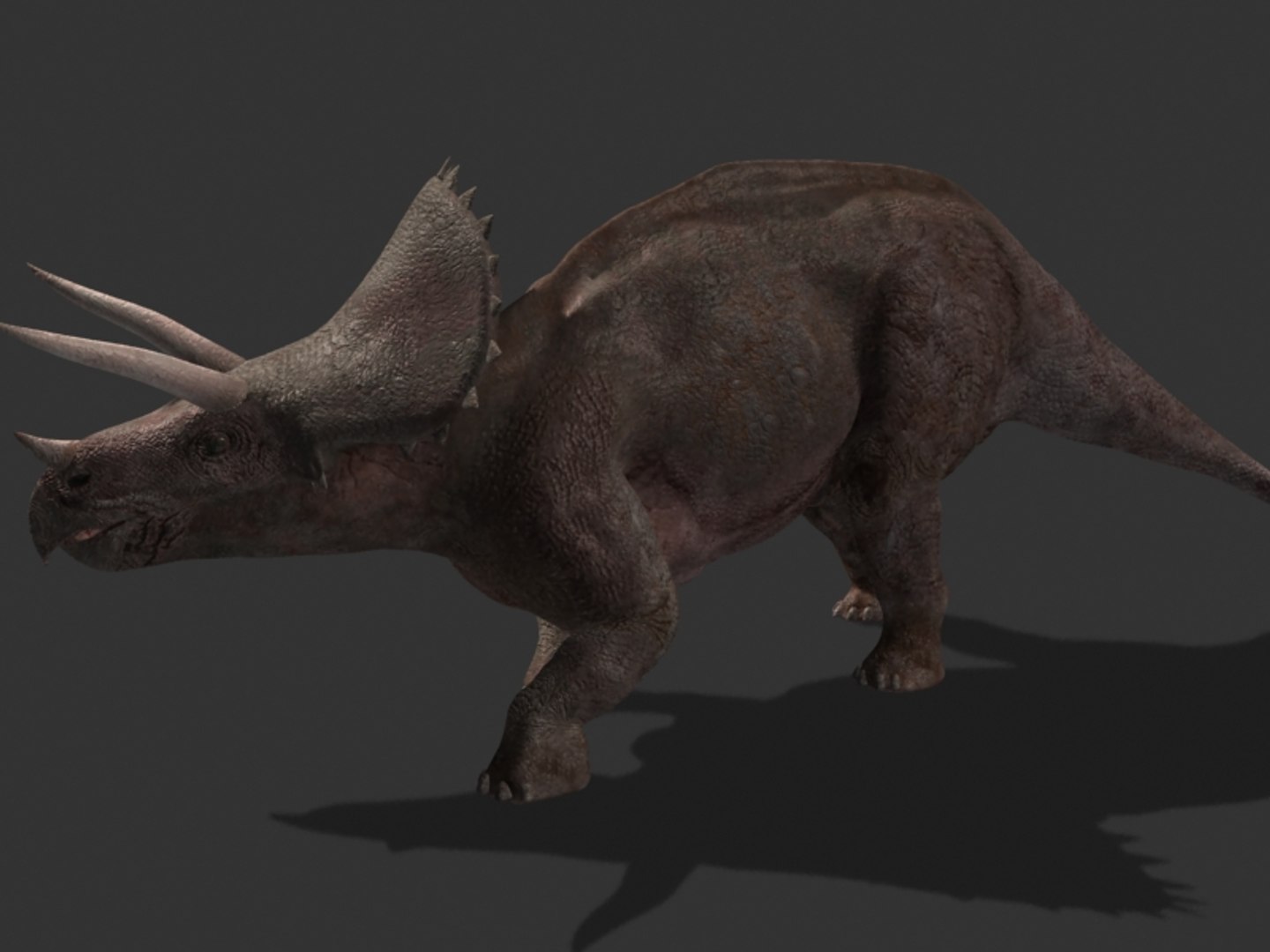 pack animations character 3d model https://p.turbosquid.com/ts-thumb/aV/Lq0FZ2/gGjf9eGO/tria16/jpg/1283796953/1920x1080/fit_q87/60265fb7cd8cc9cebbd6b8c48075010bcf515306/tria16.jpg