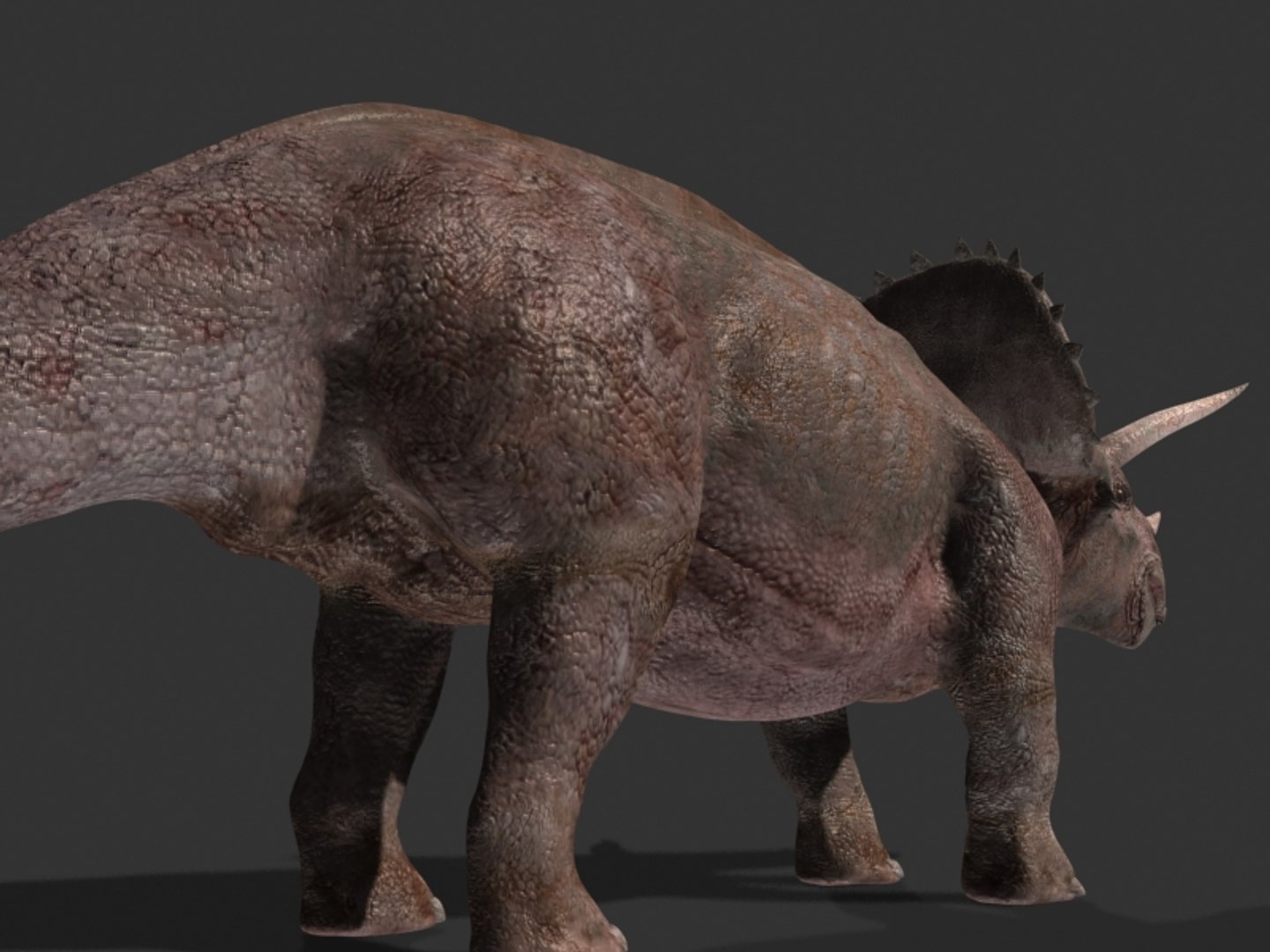 pack animations character 3d model https://p.turbosquid.com/ts-thumb/aV/Lq0FZ2/hYG0CwFc/tria11/jpg/1283796953/1920x1080/fit_q87/a8ba6e147f9454feb59c56c96a47f31c5da2f627/tria11.jpg