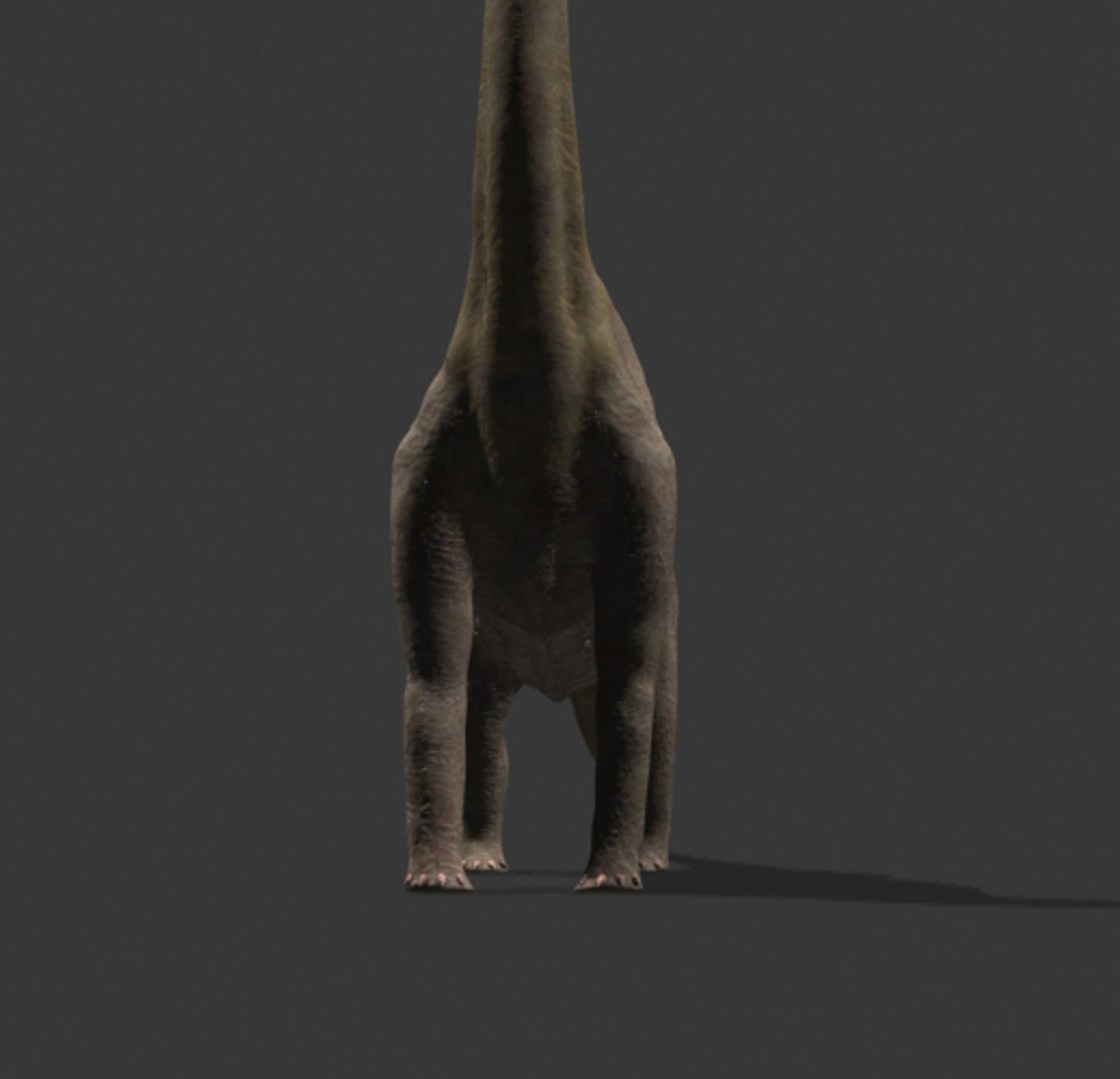 pack animations character 3d model https://p.turbosquid.com/ts-thumb/aV/Lq0FZ2/jlUepoDM/braqia29/jpg/1283777687/1920x1080/fit_q87/cb05675d6518937ac690b1df3a0eab05386e24a7/braqia29.jpg