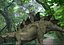 MÓJ SPECJALNY DINOSAUR PACK 2