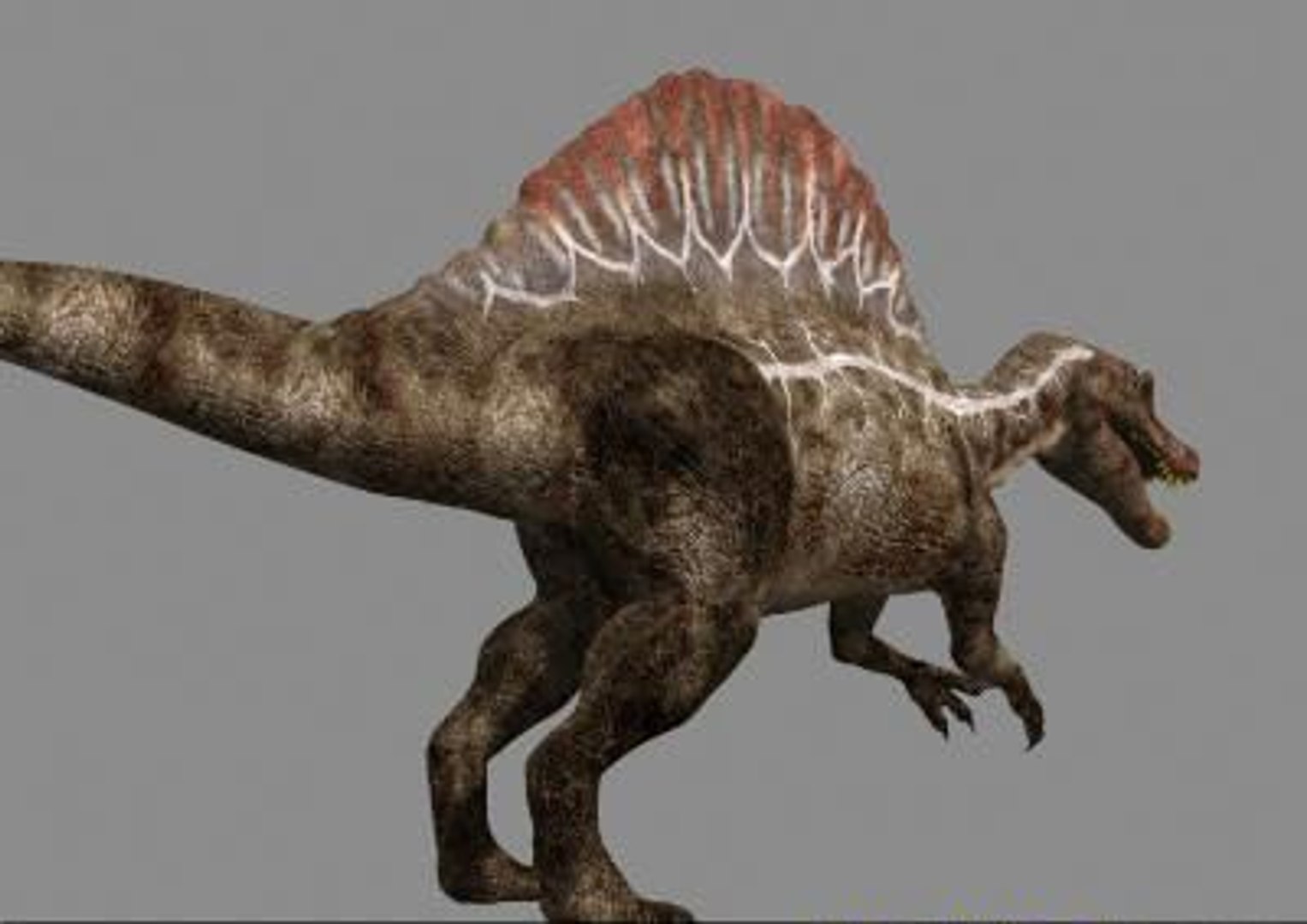 pack animations character 3d model https://p.turbosquid.com/ts-thumb/aV/Lq0FZ2/osEifL4Y/spino105/jpg/1283779027/1920x1080/fit_q87/4b2f80d6362a1f717c29e9ffaf3b0a388361870d/spino105.jpg