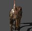 MÓJ SPECJALNY DINOSAUR PACK 2