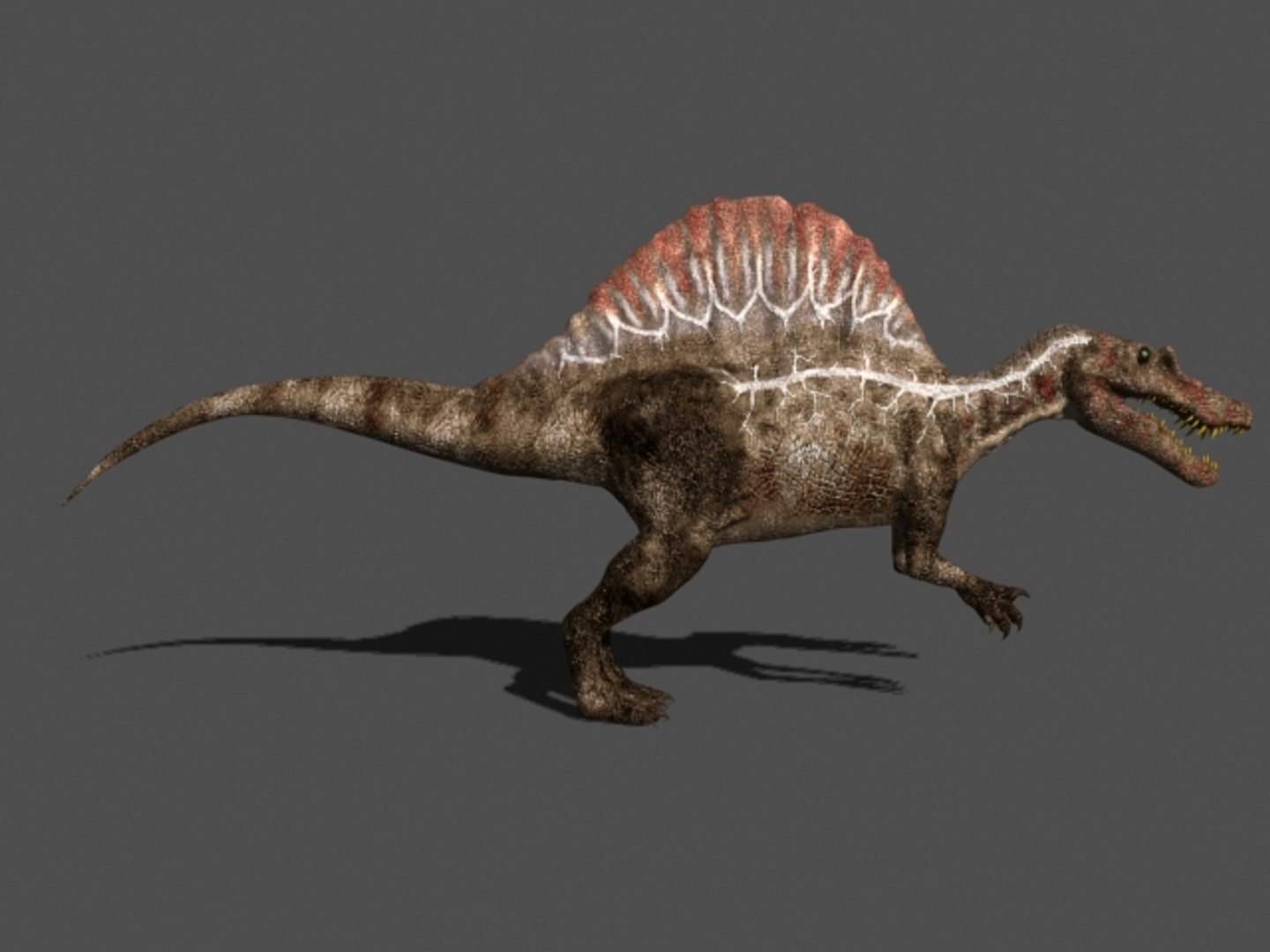 pack animations character 3d model https://p.turbosquid.com/ts-thumb/aV/Lq0FZ2/rdXO7H0X/spino21/jpg/1283779027/1920x1080/fit_q87/5453caeba7ea118285867f1397c2d41b1c4f8e97/spino21.jpg