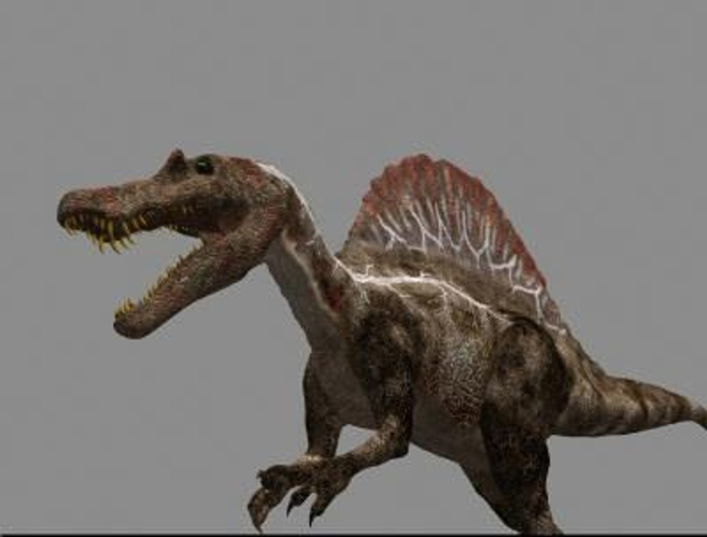 pack animations character 3d model https://p.turbosquid.com/ts-thumb/aV/Lq0FZ2/sTjZ23o0/spino75/jpg/1283779027/1920x1080/fit_q87/00c594f2677f853769513f25678319a8f483b99b/spino75.jpg