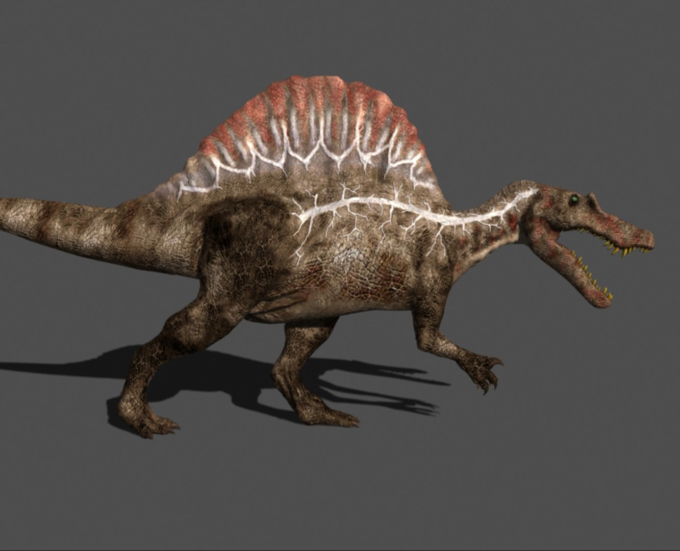 pack animations character 3d model https://p.turbosquid.com/ts-thumb/aV/Lq0FZ2/tOLA61C4/spino26/jpg/1283779027/1920x1080/fit_q87/4b03a167ec1cd65d82e0ec3fd2d51606ed0b5ac6/spino26.jpg