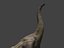 MÓJ SPECJALNY DINOSAUR PACK 2