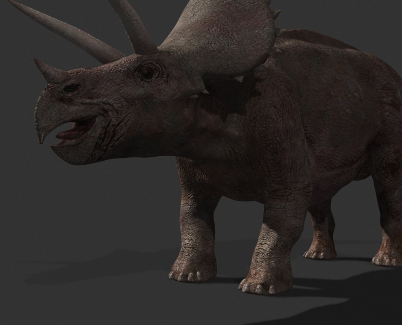 pack animations character 3d model https://p.turbosquid.com/ts-thumb/aV/Lq0FZ2/vlR7084y/tria5/jpg/1283796953/1920x1080/fit_q87/66457f1e94bc6268e0ad06cefcb5a91adcfa288b/tria5.jpg