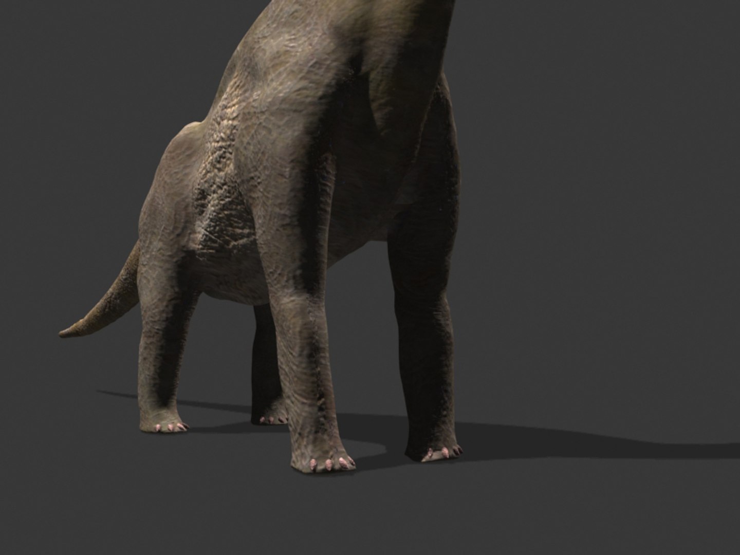 pack animations character 3d model https://p.turbosquid.com/ts-thumb/aV/Lq0FZ2/wvGZ5sXH/braqia30/jpg/1283777687/1920x1080/fit_q87/dd4e31e1b16aa439e8708b21222072b9a89a4a68/braqia30.jpg