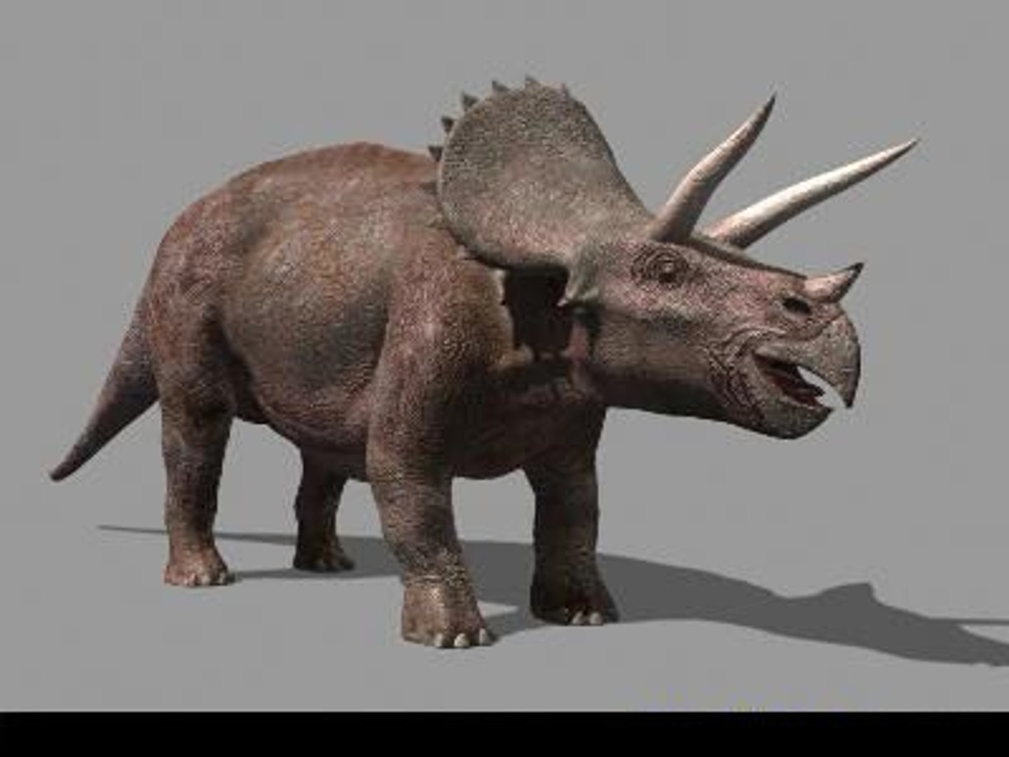 pack animations character 3d model https://p.turbosquid.com/ts-thumb/aV/Lq0FZ2/yiyAEtr5/tria06/jpg/1283796953/1920x1080/fit_q87/76eaa067456aede206c9b676ba22262944eda22b/tria06.jpg