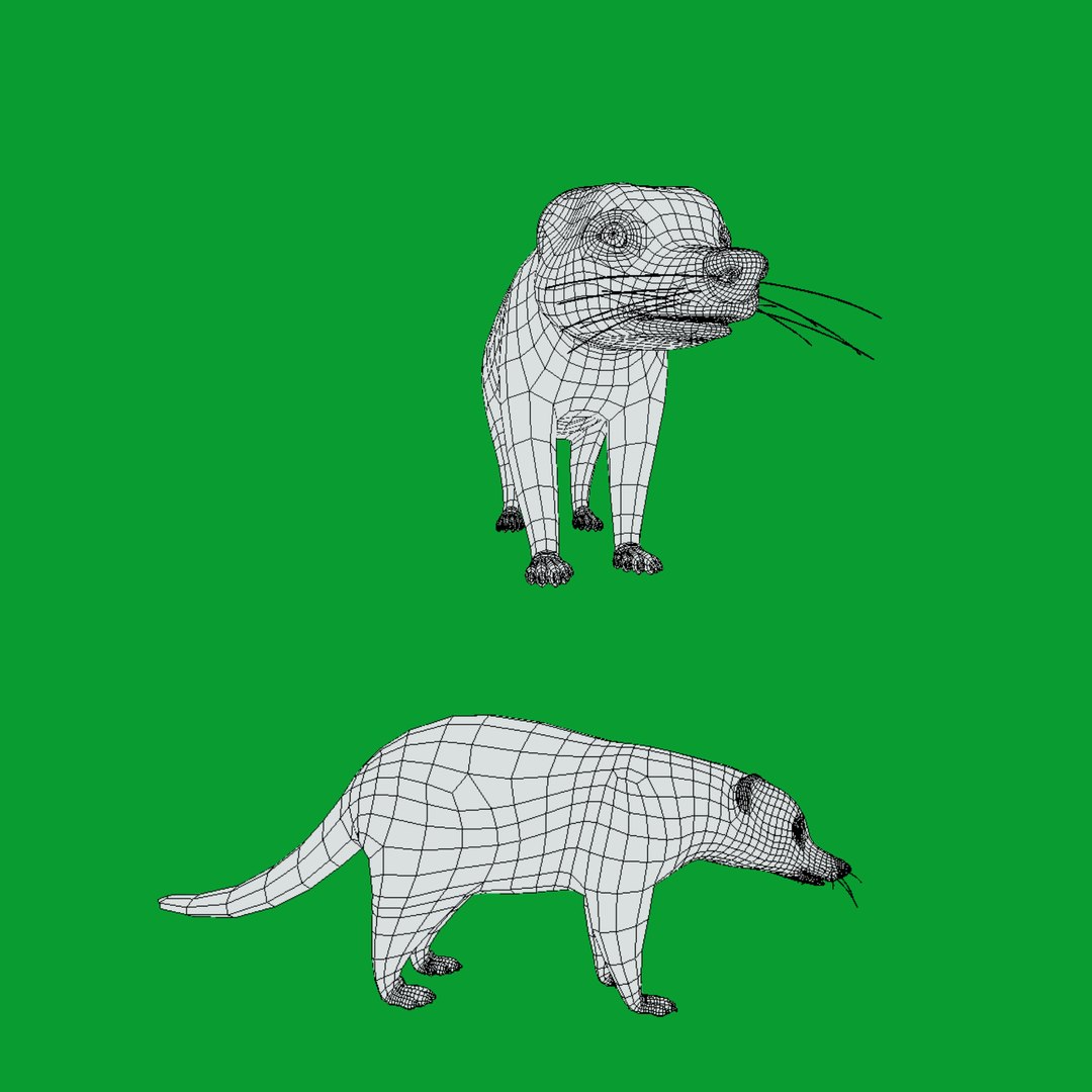 Coatimundis Nasus 3D model https://p.turbosquid.com/ts-thumb/aV/M3AuBg/0Y/wire/png/1740600686/1920x1080/fit_q87/1e60b77bbcc37d94446a5e856d0d2ce7a94ae26c/wire.jpg