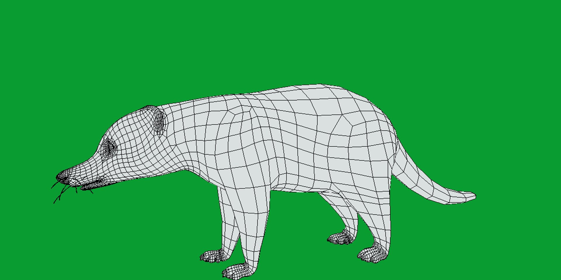 Coatimundis Nasus 3D model https://p.turbosquid.com/ts-thumb/aV/M3AuBg/FL/coatis17/png/1740600674/1920x1080/fit_q87/18bd73a71f2747f89356a9b6e165d9fb3a77c811/coatis17.jpg