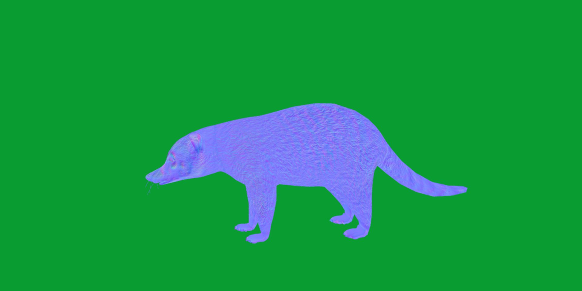 Coatimundis Nasus 3D model https://p.turbosquid.com/ts-thumb/aV/M3AuBg/Lf/coatis11/png/1740600671/1920x1080/fit_q87/b61c17545dd145cc3f140a1f4cb336cbbd55d8cf/coatis11.jpg