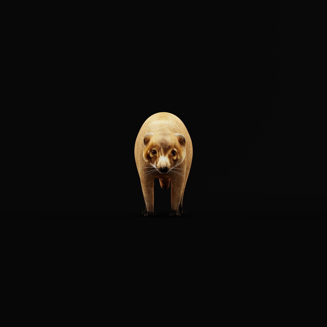 Coatimundis Nasus 3D model https://p.turbosquid.com/ts-thumb/aV/M3AuBg/Lh/coatirigao/jpg/1740600682/1920x1080/fit_q87/90822a7b92a423cf87789db1a15dd1276acf7ac7/coatirigao.jpg