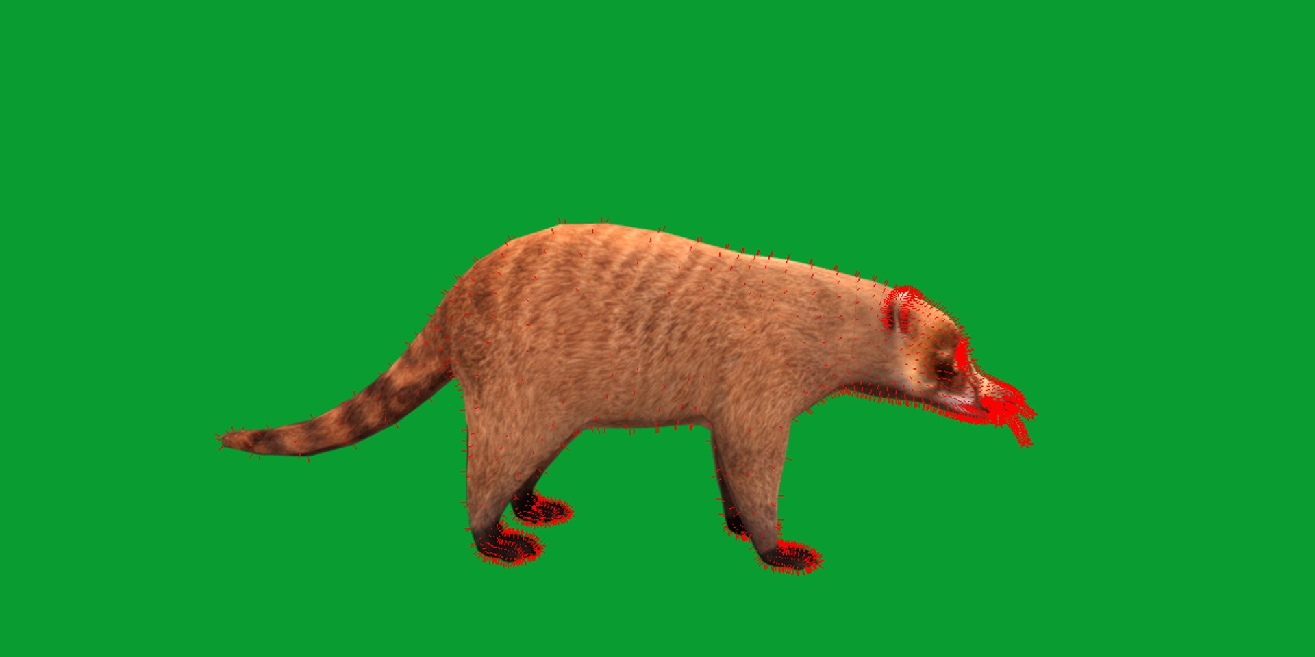 Coatimundis Nasus 3D model https://p.turbosquid.com/ts-thumb/aV/M3AuBg/Rl/coatis20/png/1740600676/1920x1080/fit_q87/f7cec67a5720db3215987af3169c5a26e29a6582/coatis20.jpg