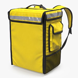 Insulated Food Delivery Bag 3D model