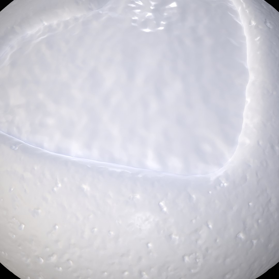 3D Jelly Heart Biscuit https://p.turbosquid.com/ts-thumb/aV/cqC6rJ/1Q/7/png/1674071455/1920x1080/fit_q87/53819a7c4079dc49624a7c7d25e741c4a5d9c2b1/7.jpg