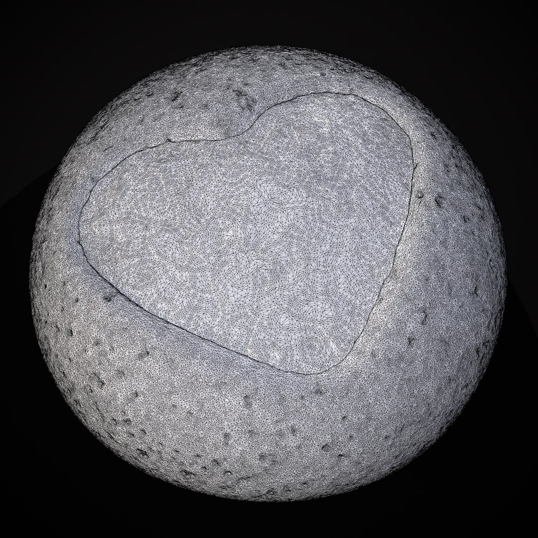 3D Jelly Heart Biscuit https://p.turbosquid.com/ts-thumb/aV/cqC6rJ/9y/22/png/1674071905/1920x1080/fit_q87/0c628936954730d5d33e6d29b659d432650cd091/22.jpg