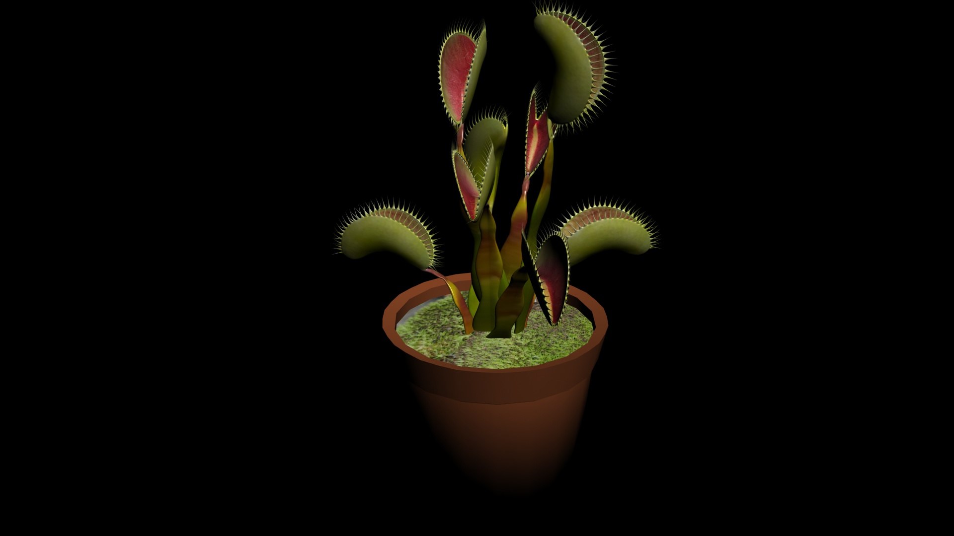 3D Model Venus Flytrap - TurboSquid 2224079