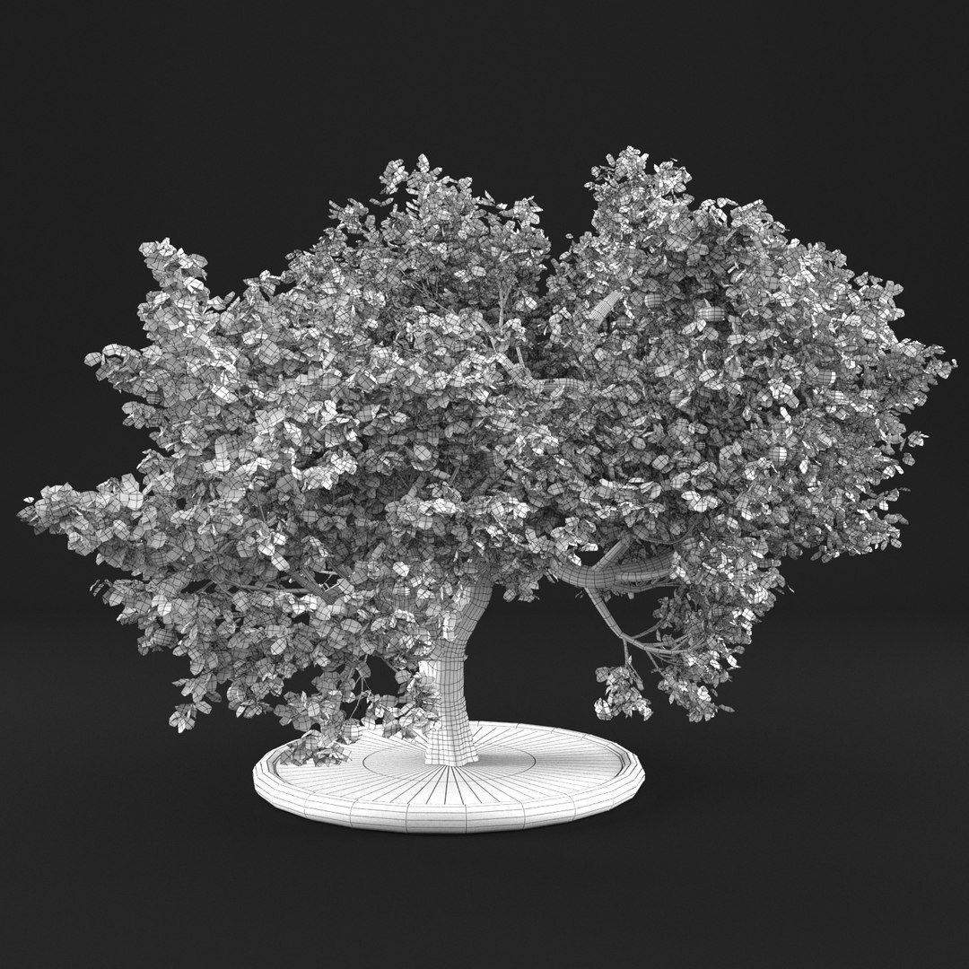 3D apple tree model - TurboSquid 1159251