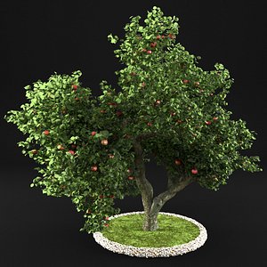 3D apple tree model