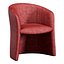 Gallotti i Radice Janette