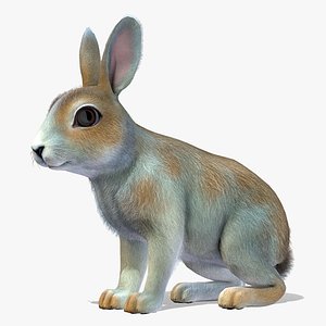 Bunny