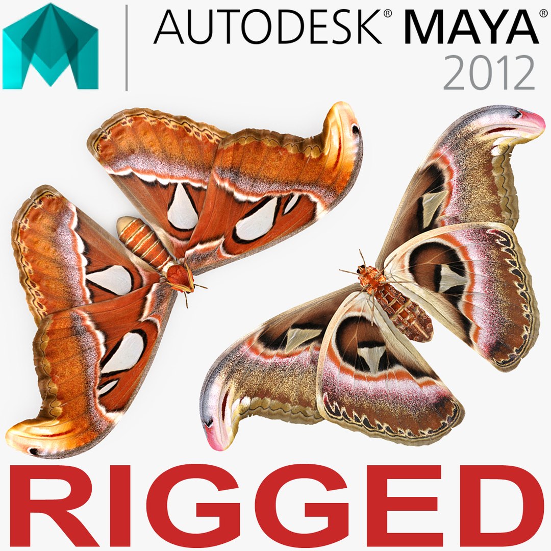Atlas Moth Rigged for Maya 3D model preview