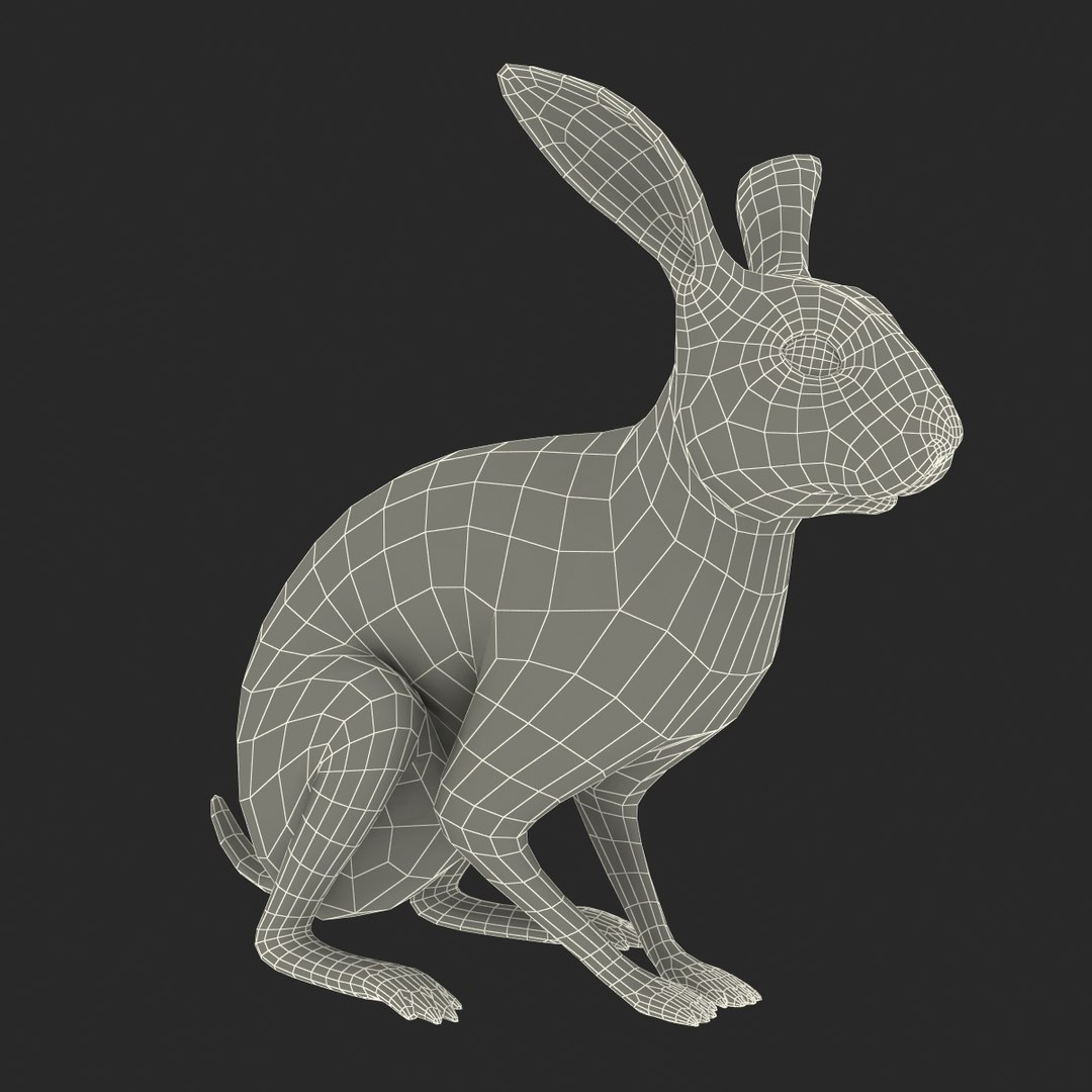 3d model black rabbit pose 3