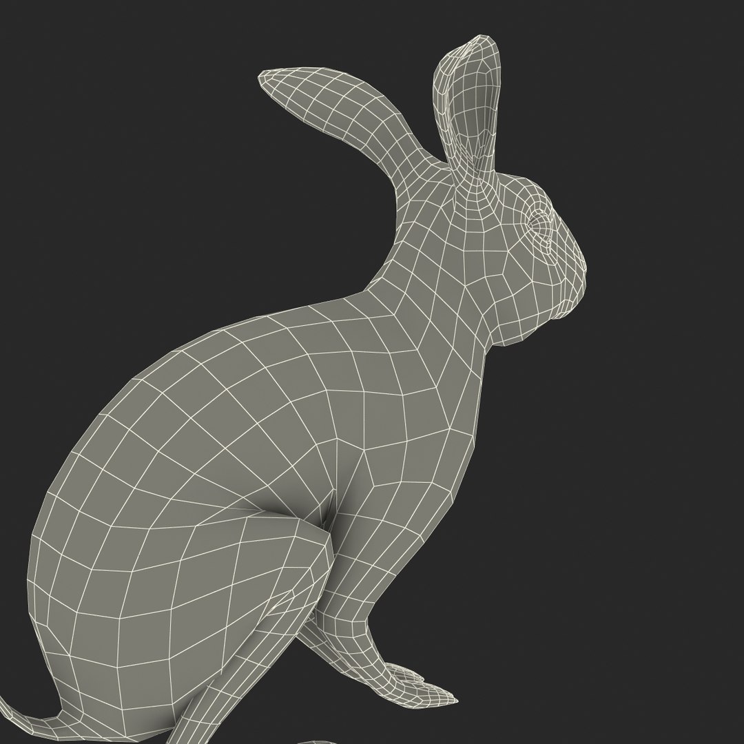 3d model black rabbit pose 3