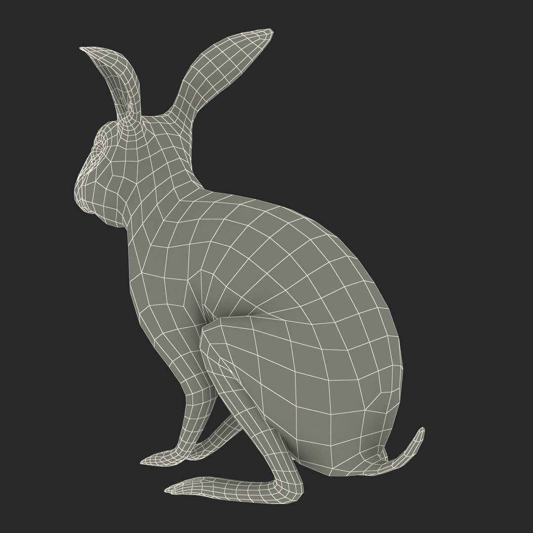 3d model black rabbit pose 3