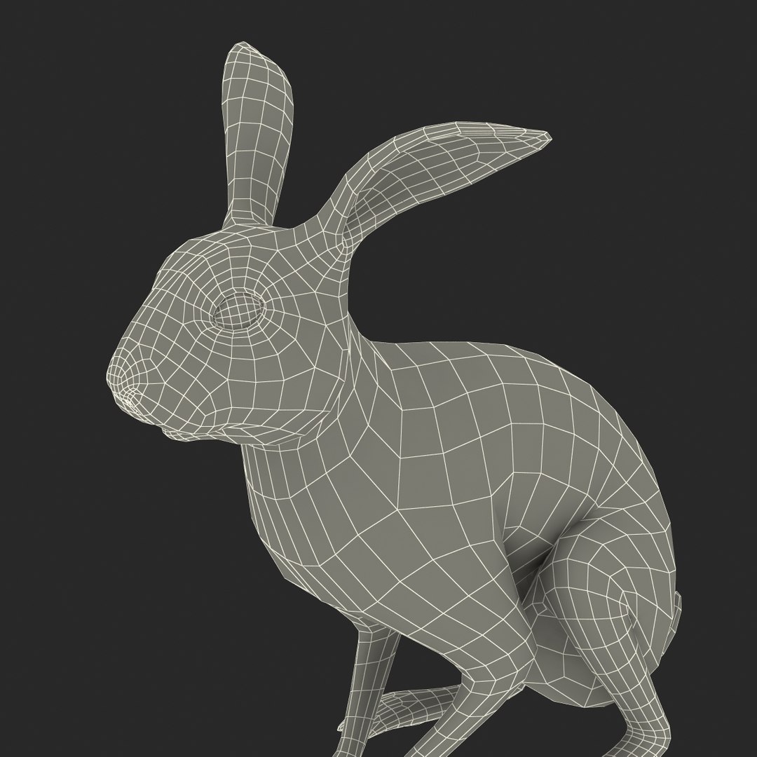 3d model black rabbit pose 3