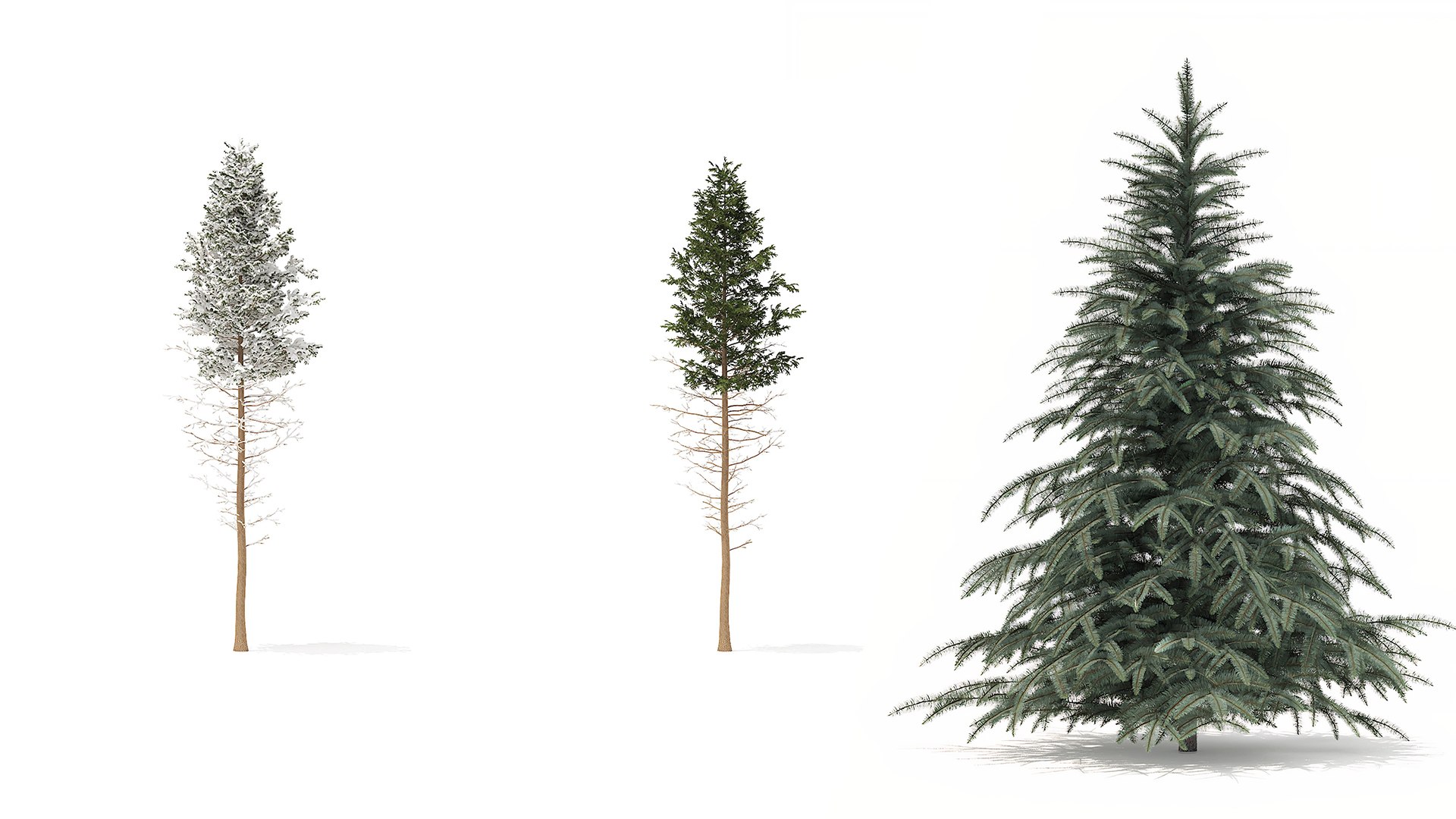 Fir Tree Set Winter Summer 3D Model - TurboSquid 2320778