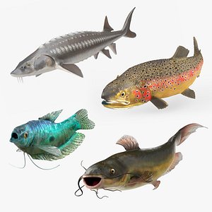 Rigged Freshwater Fish Collection 3D model