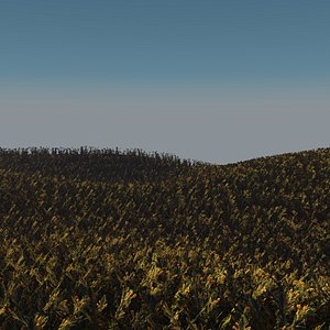 Yellow candle flower