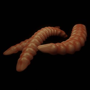 3D model Worm
