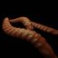 Worm