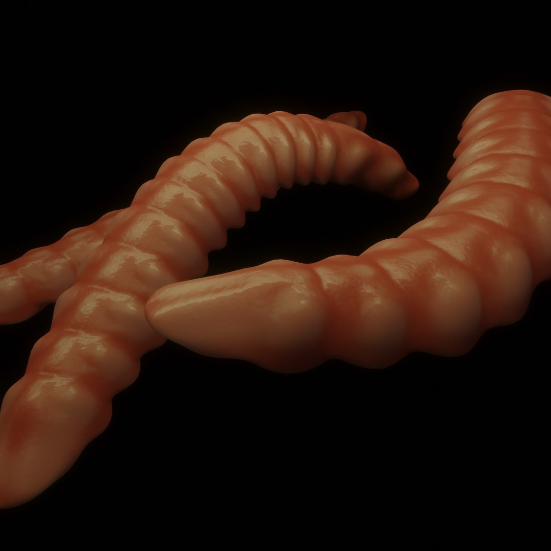 3D model Worm https://p.turbosquid.com/ts-thumb/aW/TDrJ5A/rW/5/jpg/1639082276/1920x1080/fit_q87/2e833bcea43b1351abebb552fd24026c20edac92/5.jpg