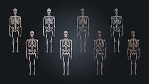 Skeleton Bone V1 Dungeon Game Ready PBR