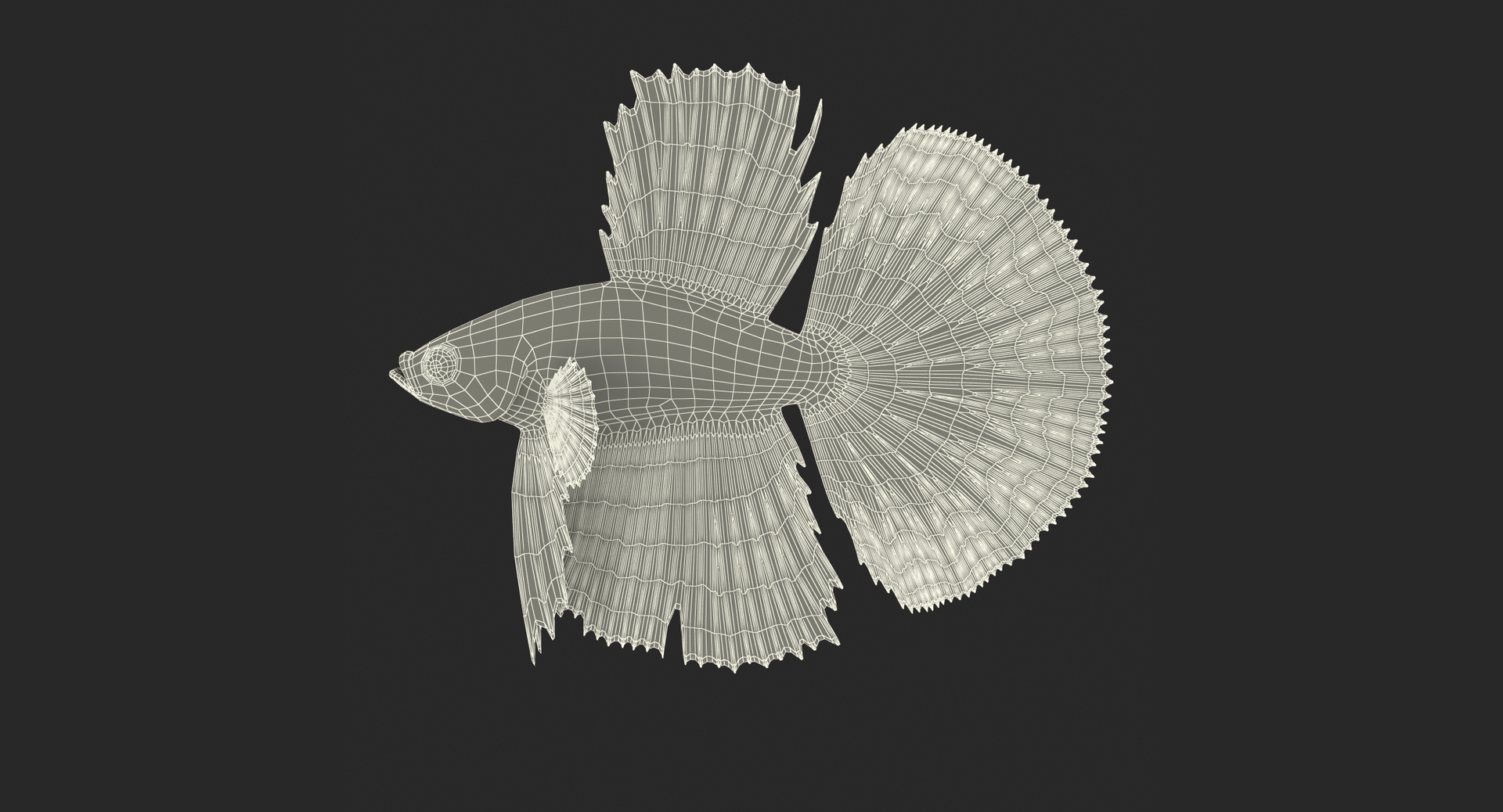 3D Red Crowntail Betta Fish - TurboSquid 1240846