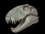 skulls dinosaurs 3D