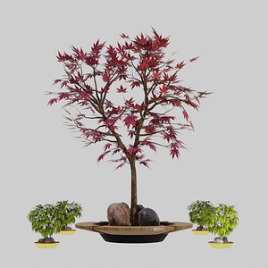 3D Japanese maple tree bench