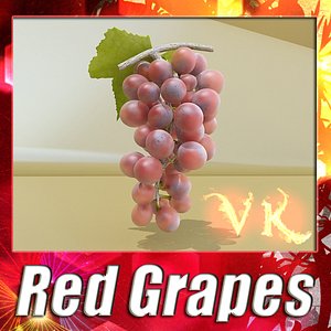 Photorealistic Red Grapes + High Resolution Textures